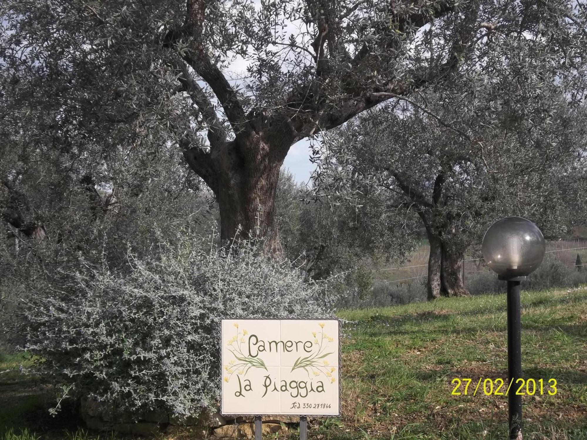B&B La Piaggia Montemerano Zewnętrze zdjęcie