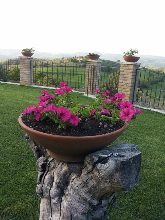 B&B La Piaggia Montemerano Pokój zdjęcie