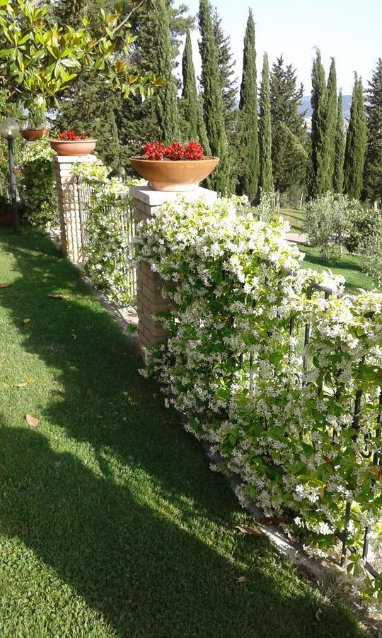 B&B La Piaggia Montemerano Zewnętrze zdjęcie